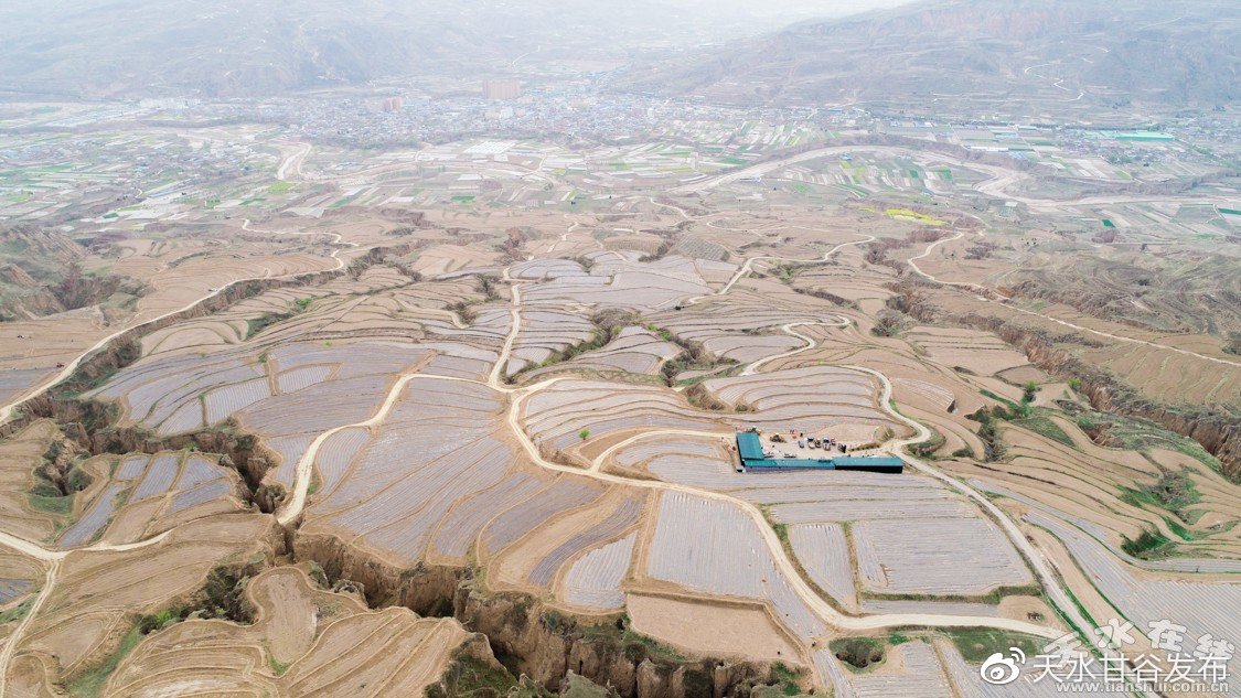 刘诗诗15岁的照片