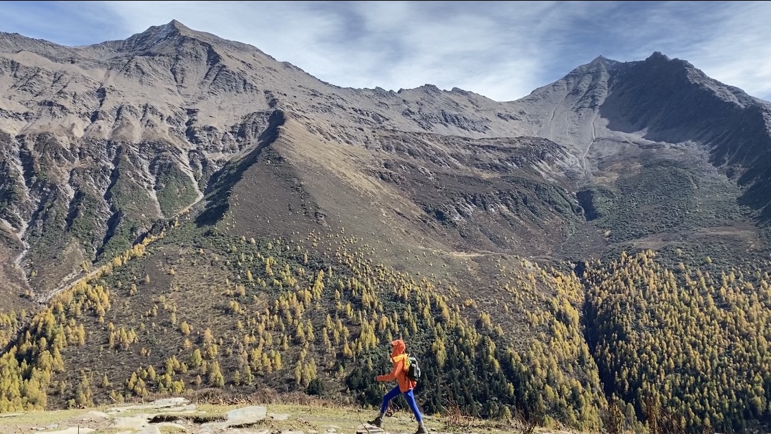 抖音双击蚂蚁：人工智能助力医疗行业创新突破_ks自助平台业务下单落羽